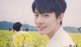 娱乐圈吃瓜合集博君一肖,娱乐圈的甜蜜瓜田，甜蜜蜜的瓜事盘点